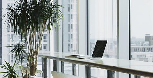 Company Registration Plan